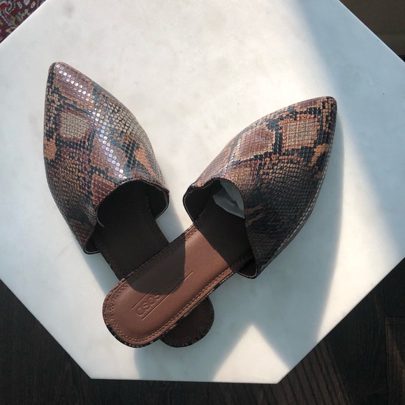Beautiful Brand New Snake Brown Mules - Picture 1 of 3